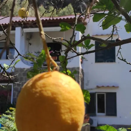 Capercia Forio di Ischia