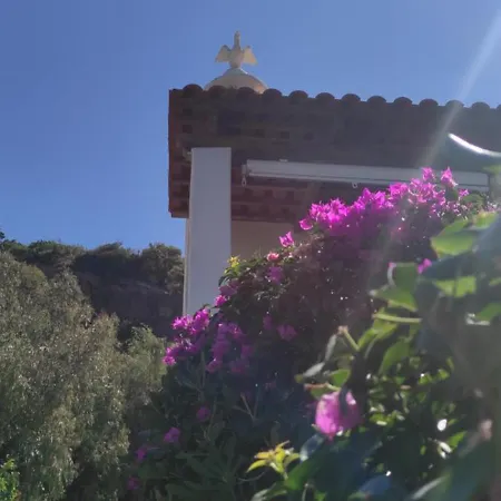 Capercia Ferienhaus *