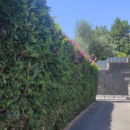 Holiday home Capercia Forio (Isola d'Ischia)