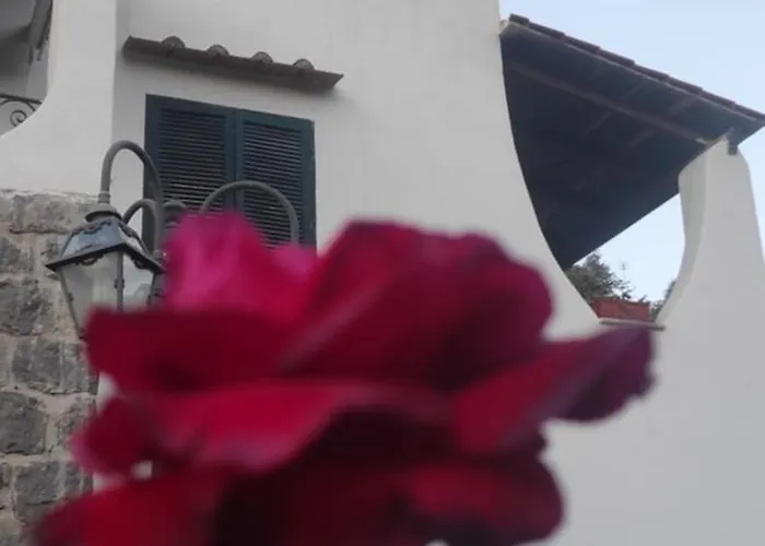 Casa de Férias Capercia *