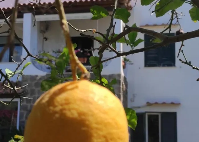 Capercia Forio di Ischia