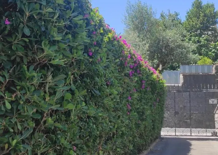 Vakantiehuis Capercia Forio di Ischia
